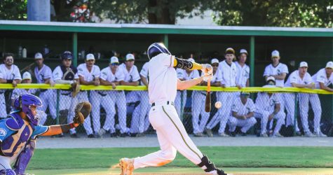 Yard Gnomes Tied 5-5 After Seven in Weather-Shortened Home Opener