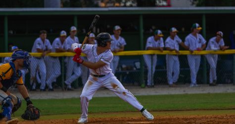 Yard Gnomes Dominate Ducks, 17-5