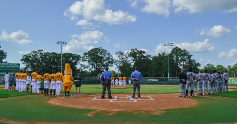 Yard Gnomes Fall to Chili Peppers, 10-6