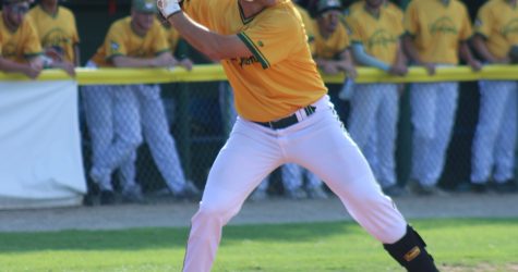 Gnomes Fall to Sharks in Defensive Duel, 3-1