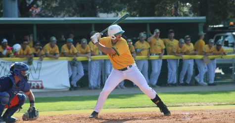 Yard Gnomes Fall to Tobs Despite Early Lead, 7-4