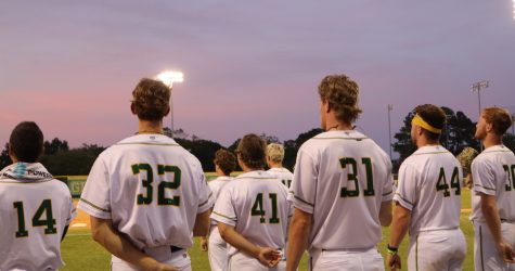 Tobs Top Yard Gnomes in Seven, 14-4