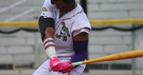 Yard Gnomes Roll Past Chili Peppers, 9-1