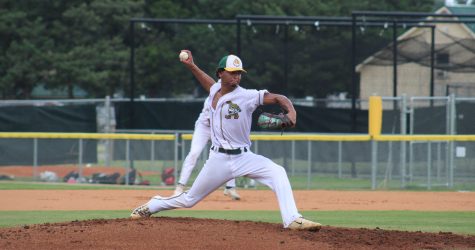 Chili Peppers Top Yard Gnomes, 6-2 in Resumed Contest
