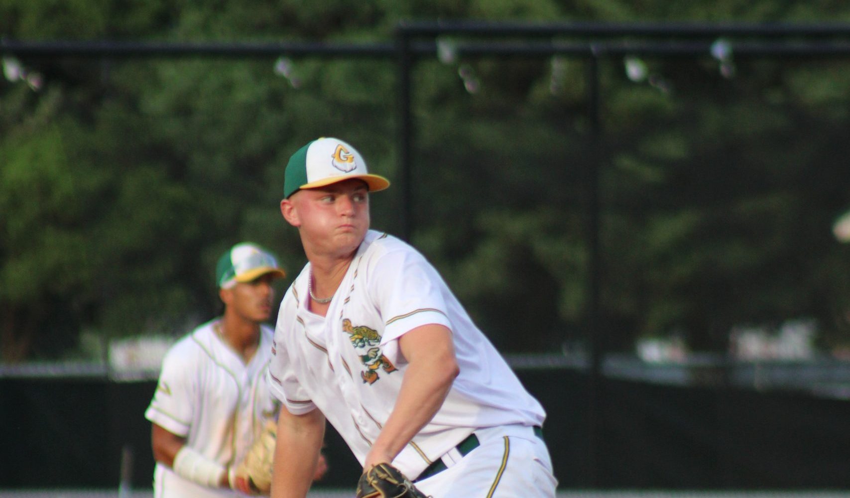 Yard Gnomes Lock Down Salamanders, 3-1