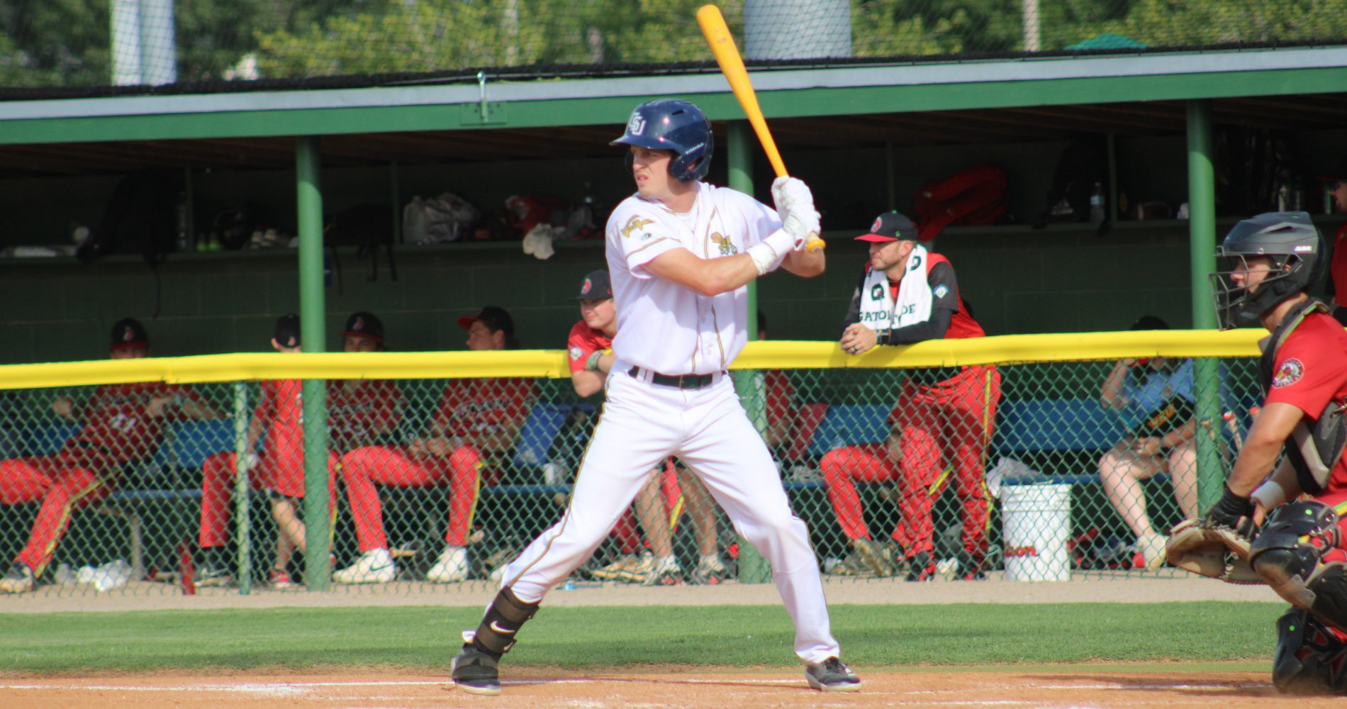 Yard Gnomes Split Doubleheader in Wilson