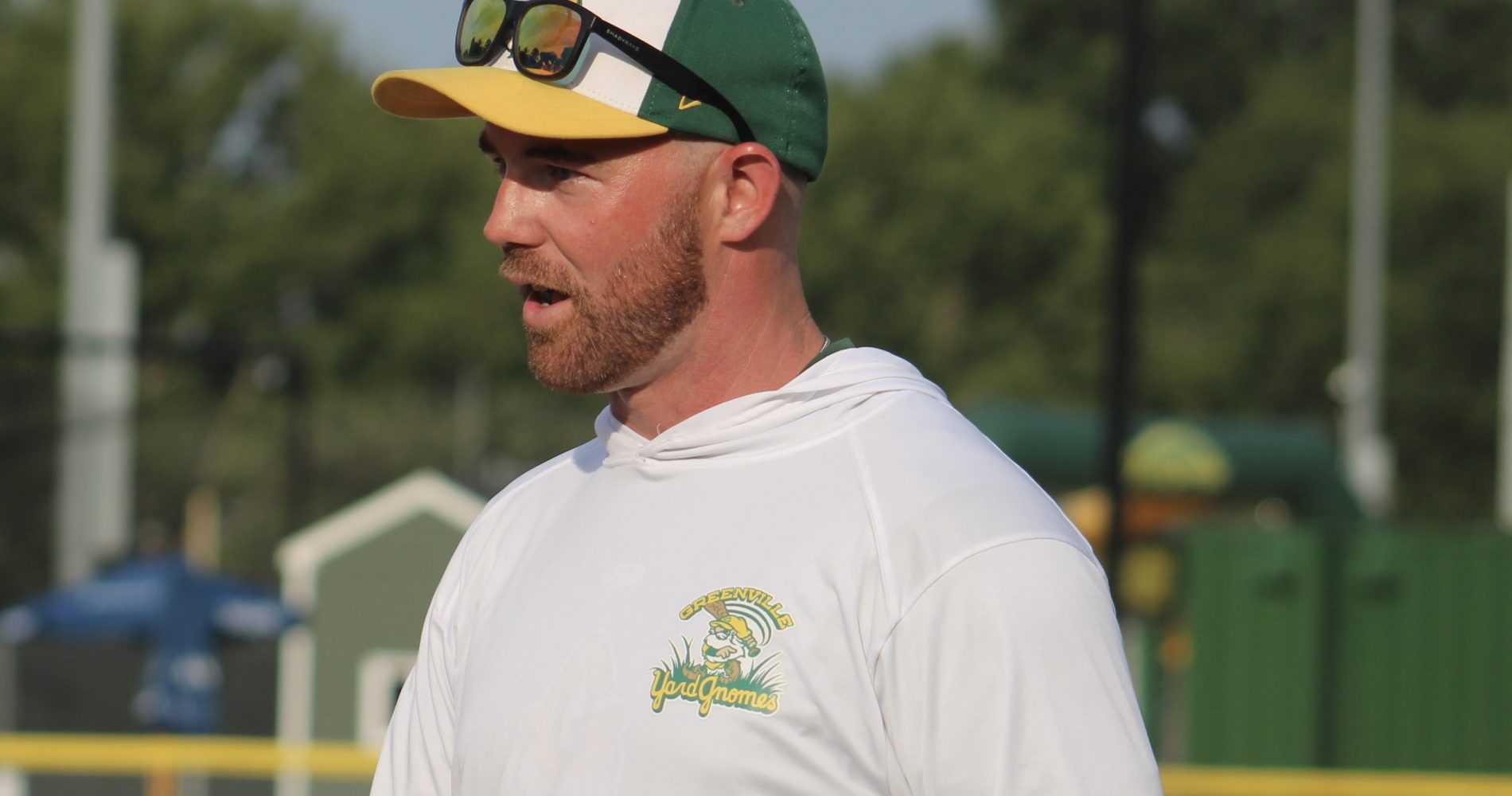 Yard Gnomes Tab Schaffer for Year Three