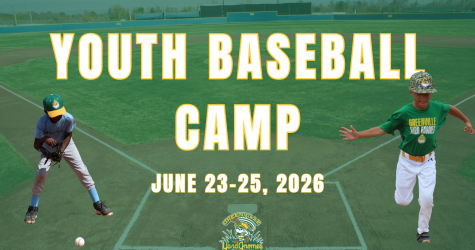 YARD GNOMES ANNOUNCE 2026 BASEBALL CAMP!