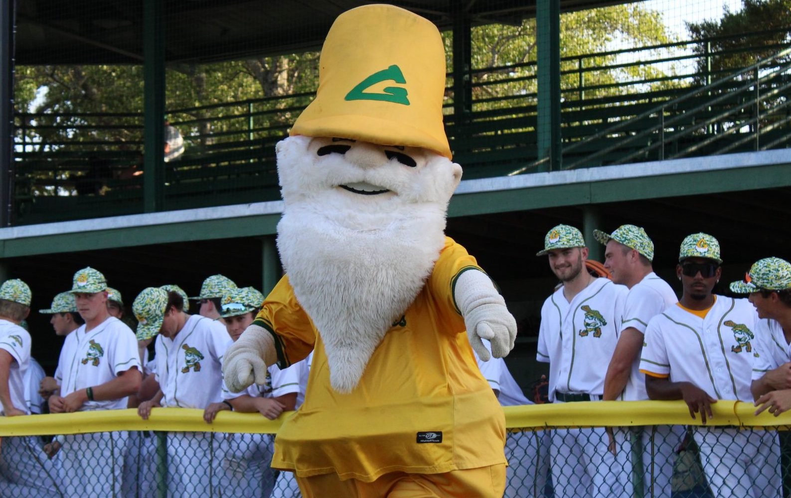 Yard Gnomes Off to Historic Start in 2026