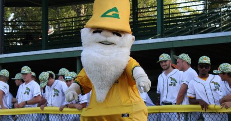 Yard Gnomes Off to Historic Start in 2026